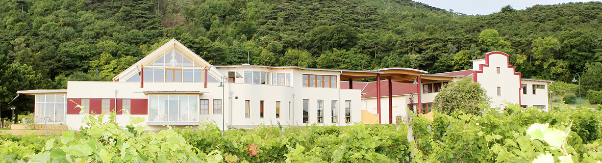 Weingut Schlossberg eingebettet in die Weinberge der Thermenregion bei Bad Vöslau