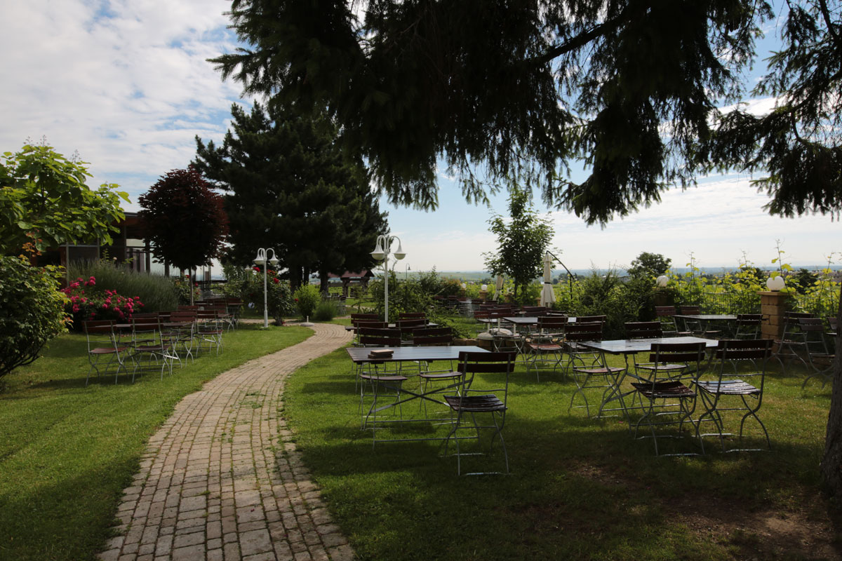 Heurigengarten mit Tischen unter Bäumen direkt an den Weingärten